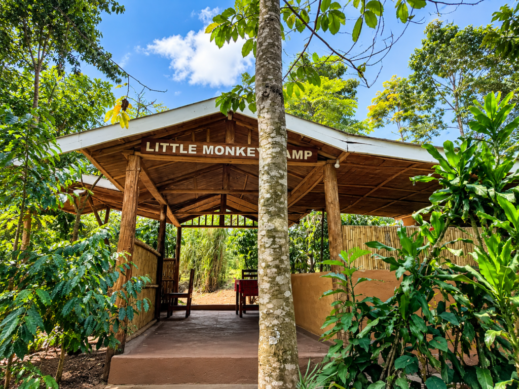 Kibale Forest accommodation at Little Monkey Camp near Kibale National Park