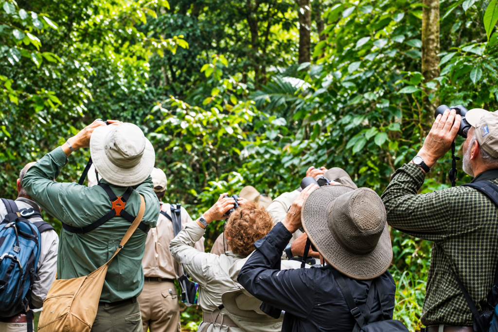 Birdwatching in Kibale National Park Uganda