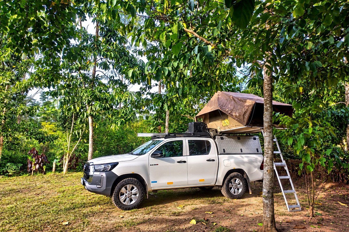 Where to Stay Near Kibale: A Guide for Independent Trekkers