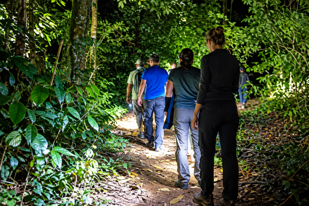 Visitors exploring Kibale Forest after dark with torches