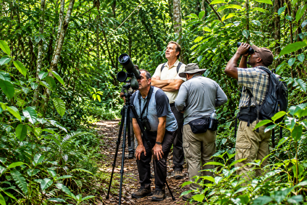 Birdwatchers exploring tropical forest in Bugoma Uganda